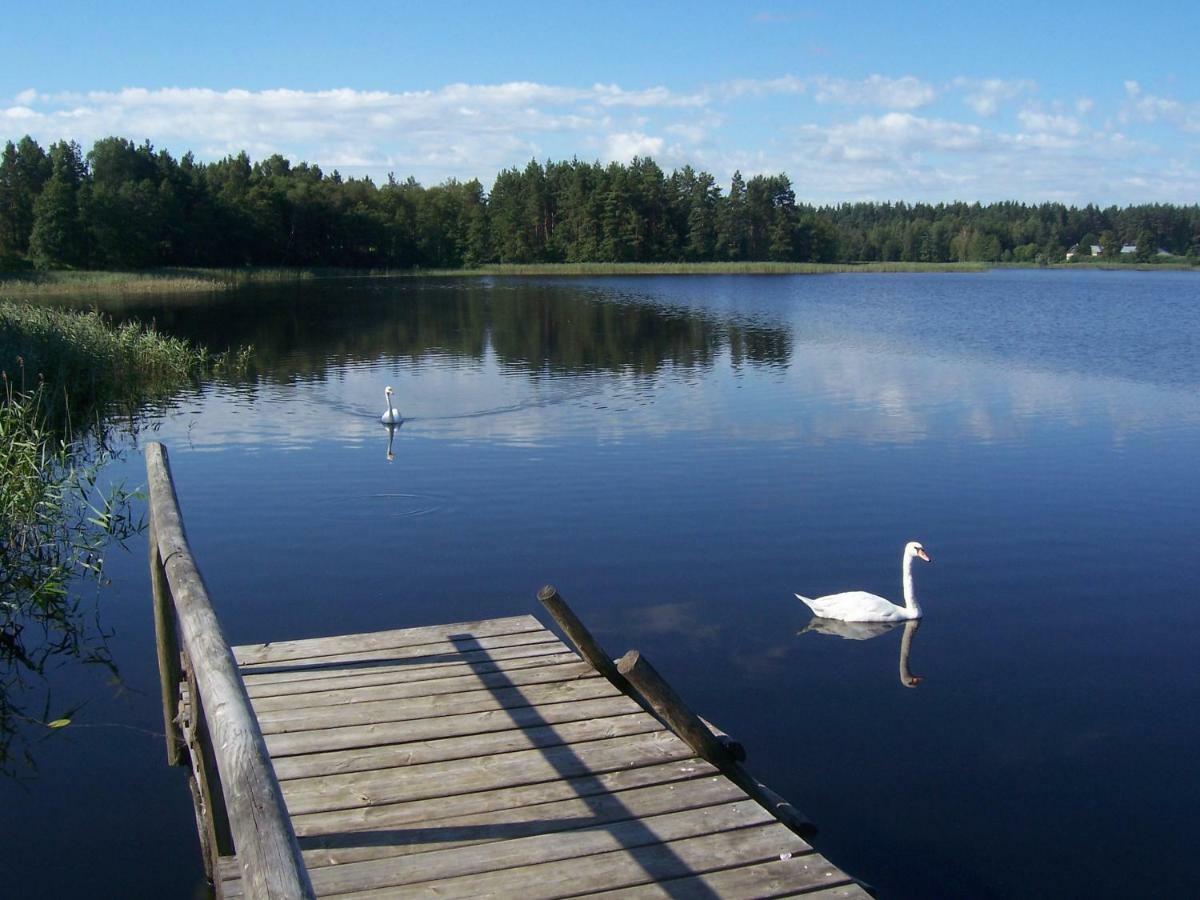 Domwigierski Pl -Jeziorki -Gr- Comfort-Ferienhaus-Polen - Wlasna Linia Brzegowa I Sauna Wysoki Most  Luaran gambar