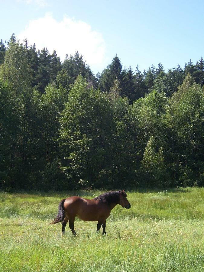 Domwigierski Pl -Jeziorki -Gr- Comfort-Ferienhaus-Polen - Wlasna Linia Brzegowa I Sauna Wysoki Most  Luaran gambar